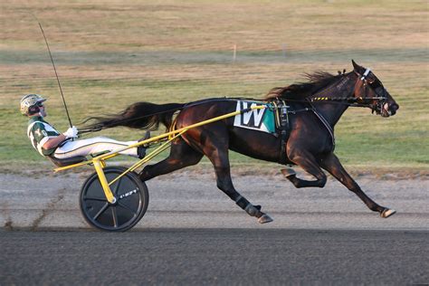 - 430 P. . Us trotting results